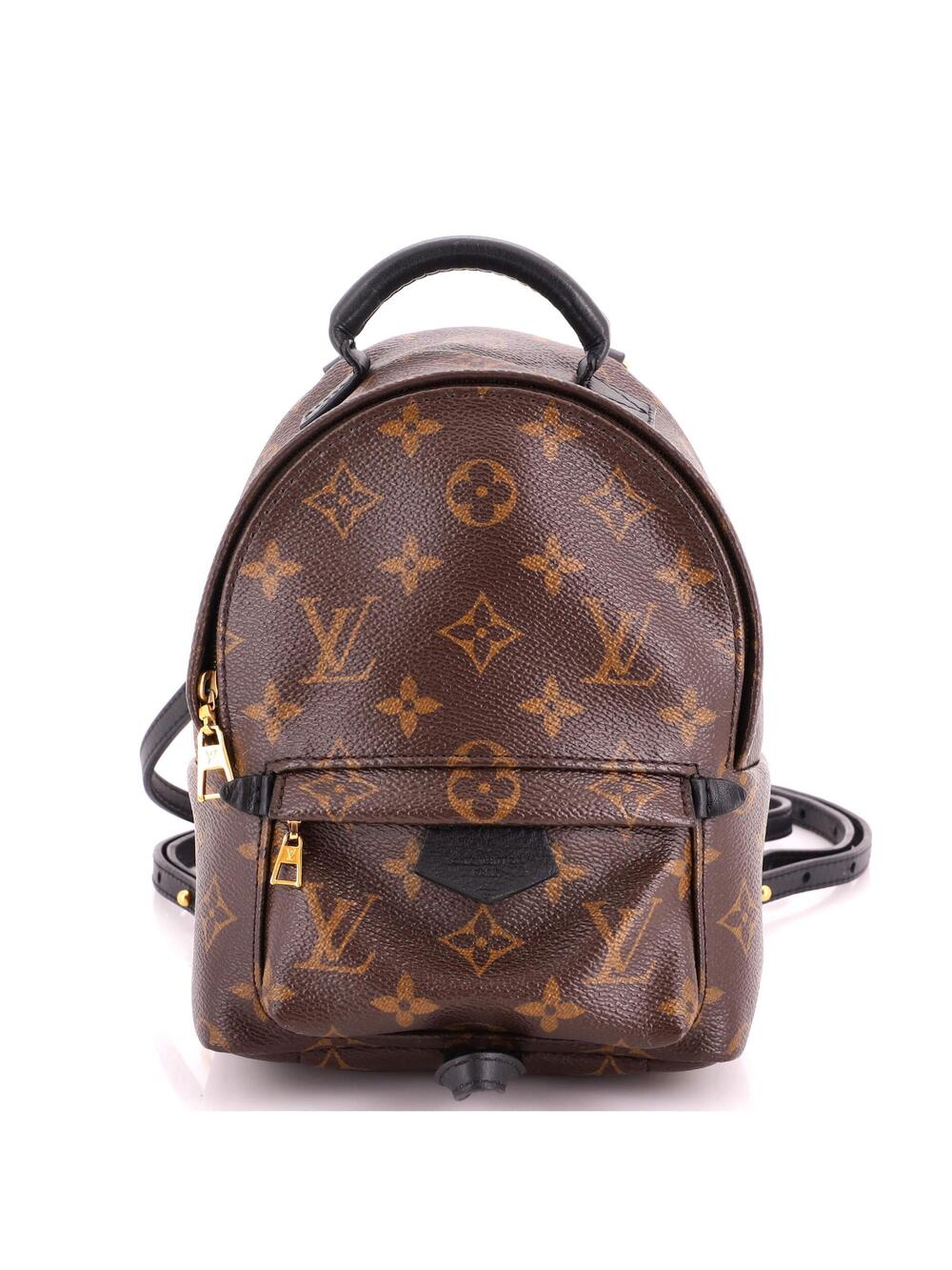 Louis Vuitton Palm Springs Backpack #370225L21B